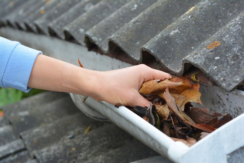 Proper Gutter Inspection