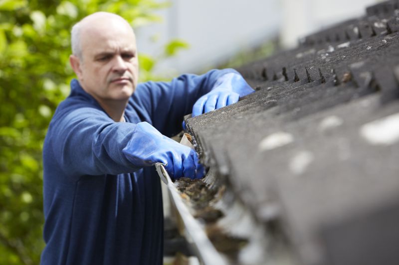Experienced Gutter Cleaners